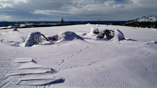 Lapland Paisagem Inverno Com Neve Arte Natural — Fotografia de Stock