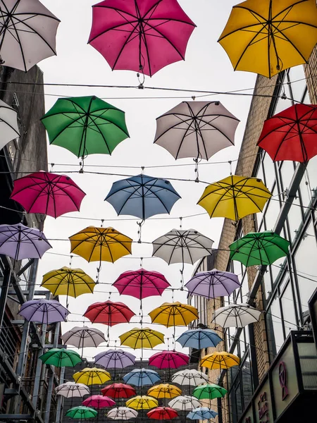 Dublin İrlanda sokakta renkli şemsiye
