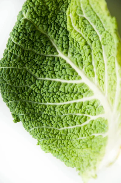 Col Saboya Estructura Hoja Verde Verdor Fondo Natural Verduras Frescas —  Fotos de Stock