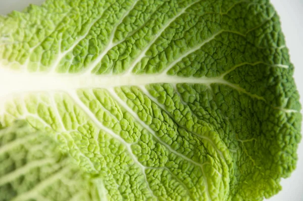 Col Saboya Estructura Hoja Verde Verdor Fondo Natural Verduras Frescas —  Fotos de Stock