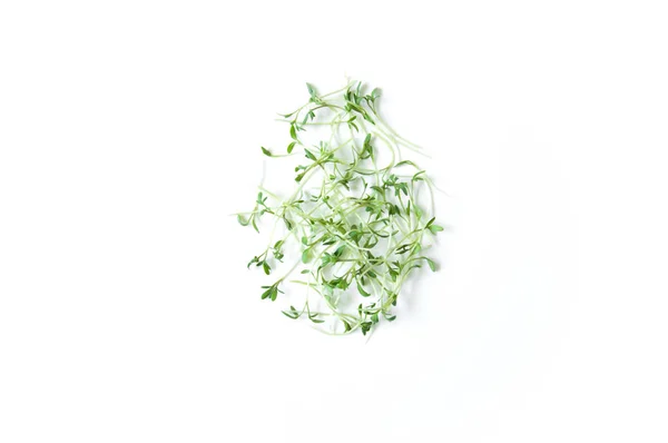 Clever Healthy Food Greens Microgreen Cress Salad Lepidium Sativum Annual — Stock Photo, Image