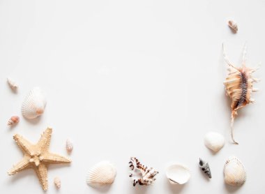 Metin için site çerçevesi için deniz kabukları ve deniz yıldızları ile beyaz ışık arka plan. Denize yolculuk bir anıdır.