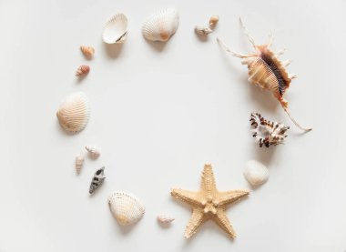 Metin için site çerçevesi için deniz kabukları ve deniz yıldızları ile beyaz ışık arka plan. Denize yolculuk bir anıdır. 