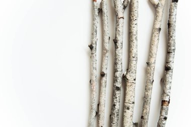 Beyaz bir arka plan üzerinde kuru eski huş ağacı dalları. Doğal malzemeler arka plan. Beyaz ağaç kabuğu.