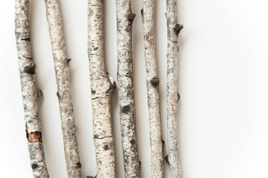 Beyaz bir arka plan üzerinde kuru eski huş ağacı dalları. Doğal malzemeler arka plan. Beyaz ağaç kabuğu.