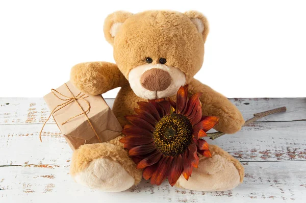 Plush soft toy teddy bear with flowers brown red sunflower and gift box. Greeting card. Children\'s cute background for gift bags. Congratulations on Valentine\'s Day, happy birthday, with love