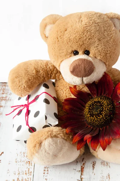 Plush soft toy teddy bear with flowers brown red sunflower and gift box. Greeting card. Children's cute background for gift bags. Congratulations on Valentine's Day, happy birthday, with love