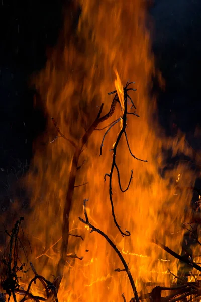 Brindilles brûlantes silhouettées sur fond de flammes la nuit — Photo