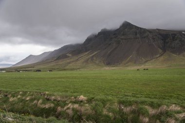 Dağlar ve İzlandalı atlar çok uzaktan gösterilen manzara.