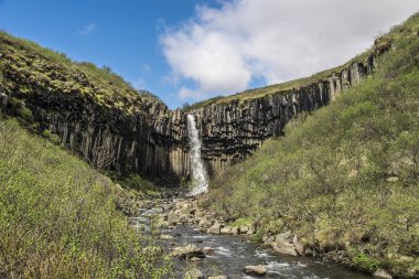 Svartifoss şelale, İzlanda bir akışı içine akan