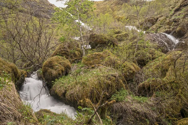 Lunga Esposizione Systrafoss Islanda Natura Selvaggia Circostante — Foto Stock