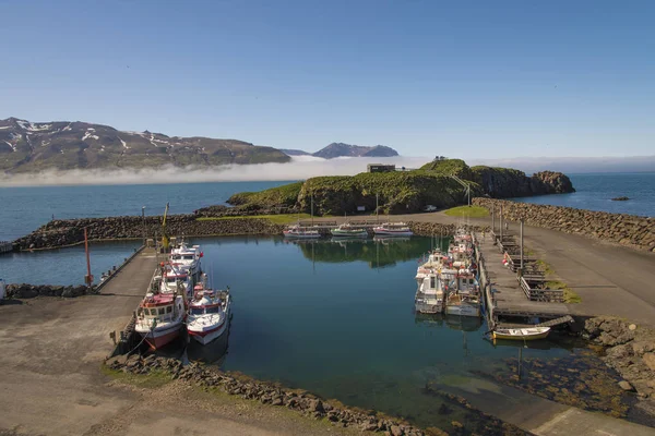 Borgarfjararhofn - Puffin görüş alanı