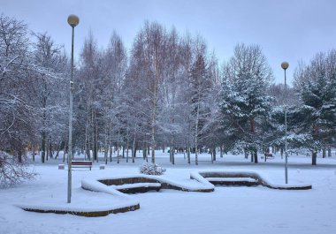 Karla kaplı ağaçlar ve ahşap benche Şehir Parkı.