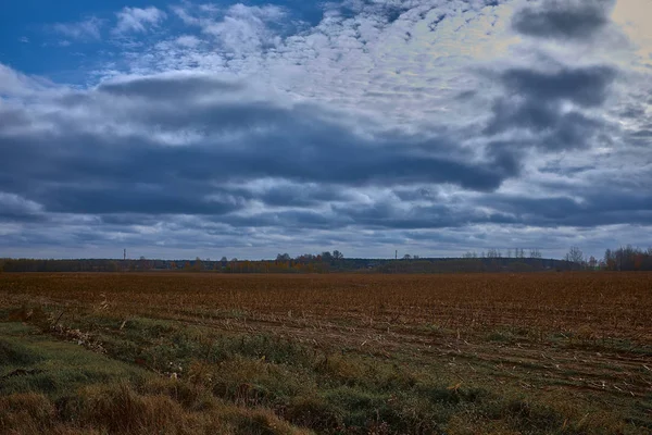 cloudy sky over brown field after harvesting in Belarus