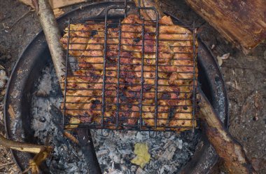 Şişler üzerinde et hazırlamak Shashlik veya shashlyk ateşte kavrulur