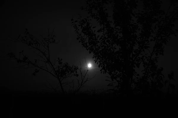 Luz de luna oscura en blanco y negro en la noche después del atardecer . Fotos de stock