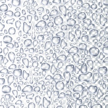 Yağmur damlaları su veya buhar üzerinde şeffaf arka plan izole duş. Gerçekçi saf damlacıkları Özet. Vektör açık buharı su kabarcıkları pencere cam yüzeyi tasarımınız için.
