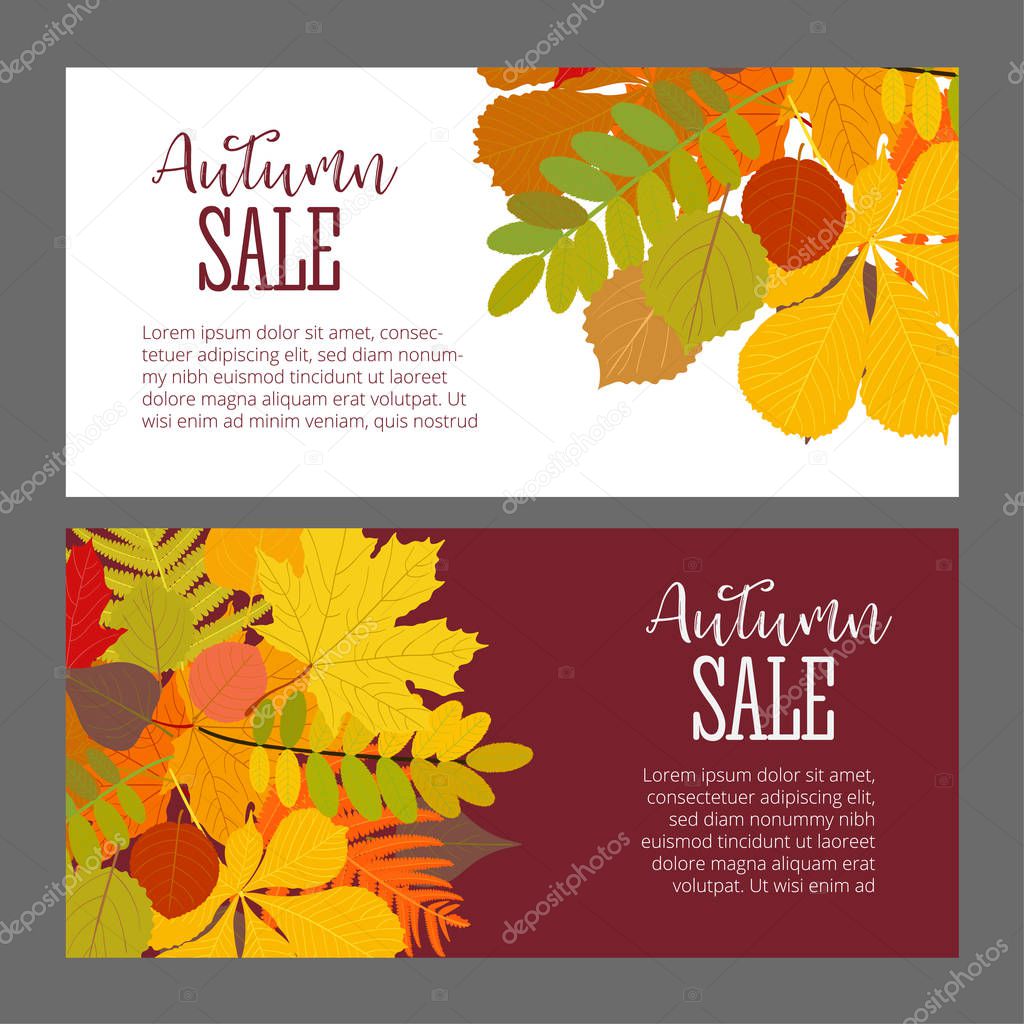 Abstract Vector Illustration Autumn Sale Background with Falling Autumn Leaves.