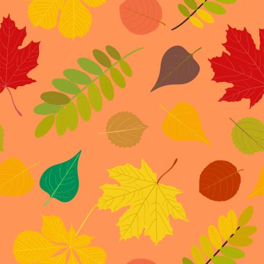 Dikişsiz sonbahar desen turuncu, sarı, kahverengi kırmızı sonbahar orman rowan, huş ağacı, ağaç yaprakları ve otlar. Duvar kağıdı, arka plan güzel, şirin, trendy parlak baskı