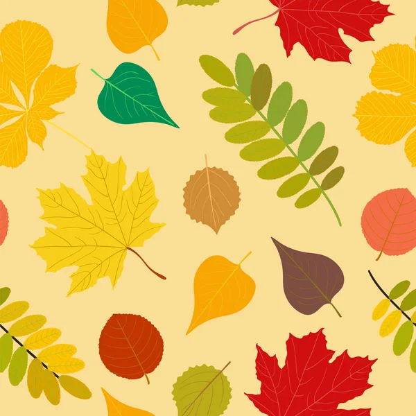 Dikişsiz sonbahar desen turuncu, sarı, kahverengi kırmızı sonbahar orman rowan, huş ağacı, ağaç yaprakları ve otlar. Duvar kağıdı, arka plan güzel, şirin, trendy parlak baskı