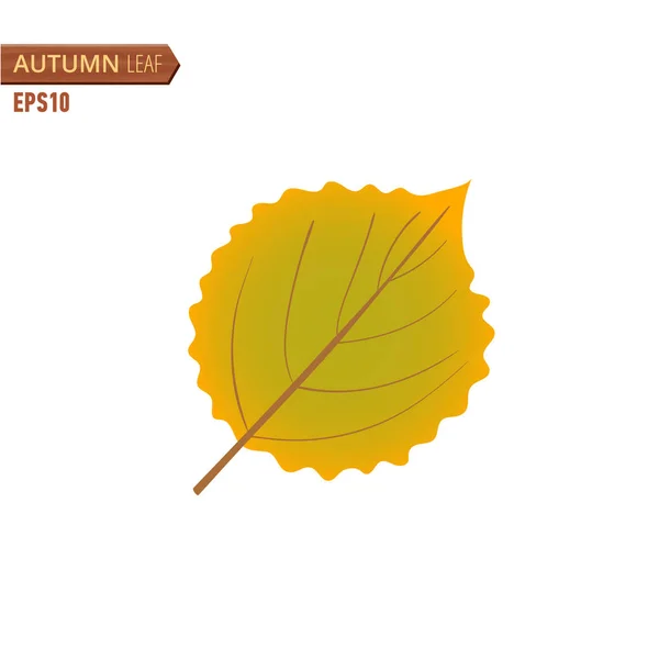 Hoja de abedul de otoño aislada sobre un fondo blanco. Ilustración vectorial — Vector de stock