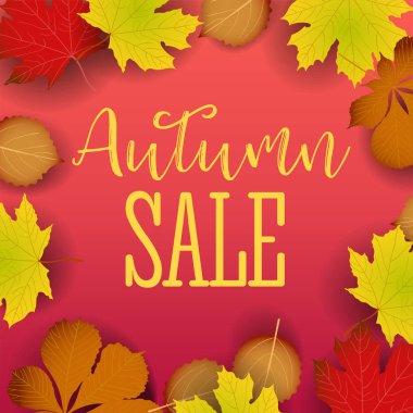 Sonbahar el yazısı. Mevsimlik harf. Web banner şablonu. Vektör illüstrasyonu