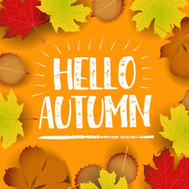 Sonbahar afiş Merhaba. kağıt renkli ağaç yaprak akçaağaç, rowan ahşap doku arka plan üzerinde bırakır..