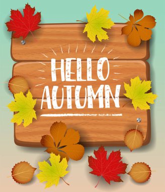 Sonbahar afiş Merhaba. kağıt renkli ağaç yaprak akçaağaç, rowan ahşap doku arka plan üzerinde bırakır..