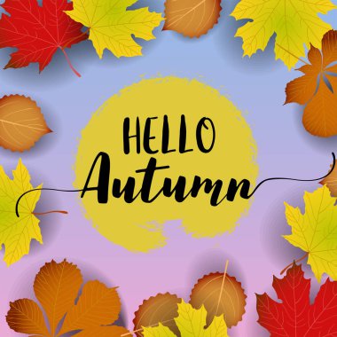 Sonbahar afiş Merhaba. kağıt renkli ağaç yaprak akçaağaç, rowan ahşap doku arka plan üzerinde bırakır..