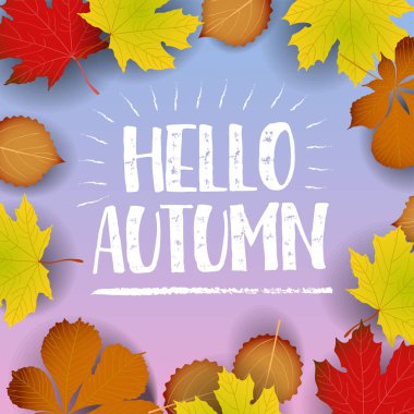 Sonbahar afiş Merhaba. kağıt renkli ağaç yaprak akçaağaç, rowan ahşap doku arka plan üzerinde bırakır..