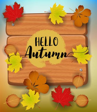 Sonbahar afiş Merhaba. kağıt renkli ağaç yaprak akçaağaç, rowan ahşap doku arka plan üzerinde bırakır..