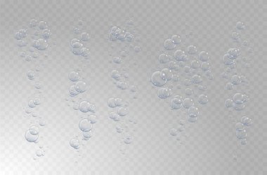Şeffaf arkaplanda su vektörü illüstrasyonu altındaki kabarcıklar