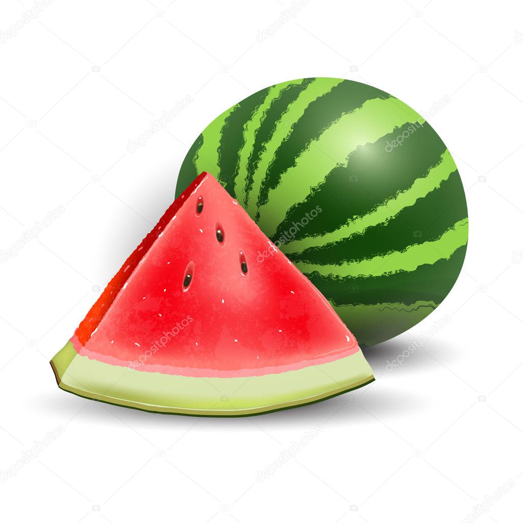 Watermelon realistic icon illustration, vector