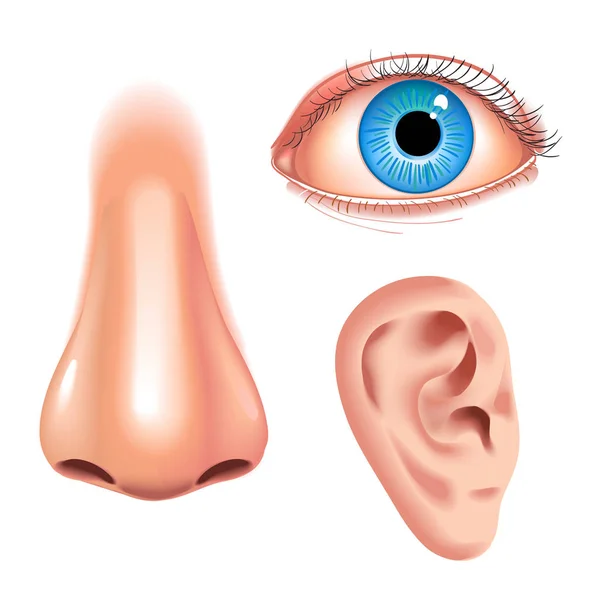 Partes de la cara humana 3 órganos sensoriales iconos colección cuadrada de ojo nariz y oído vector realista ilustración — Vector de stock