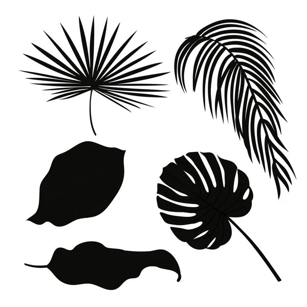 Set di silhouette di foglie di palma isolate su sfondo bianco. Vettore EPS10 — Vettoriale Stock