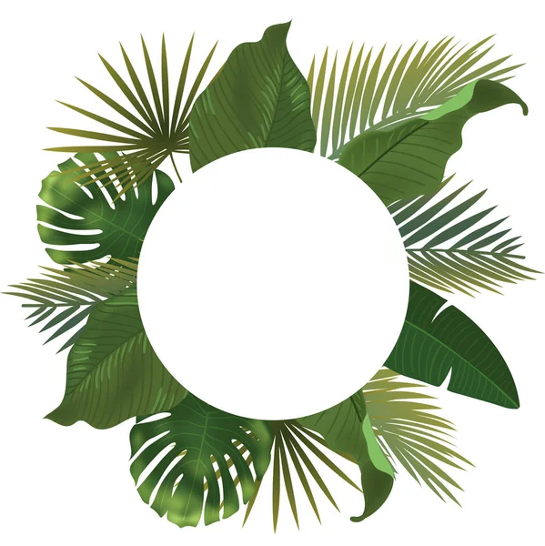 Fondo con ramas realistas de hojas de palma verde sobre fondo blanco. plano, vista superior — Archivo Imágenes Vectoriales