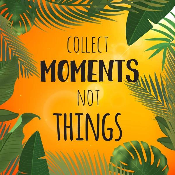 Diseño de hojas de palma tropical para tarjeta de texto. Recoger momentos no cosas citar . — Archivo Imágenes Vectoriales