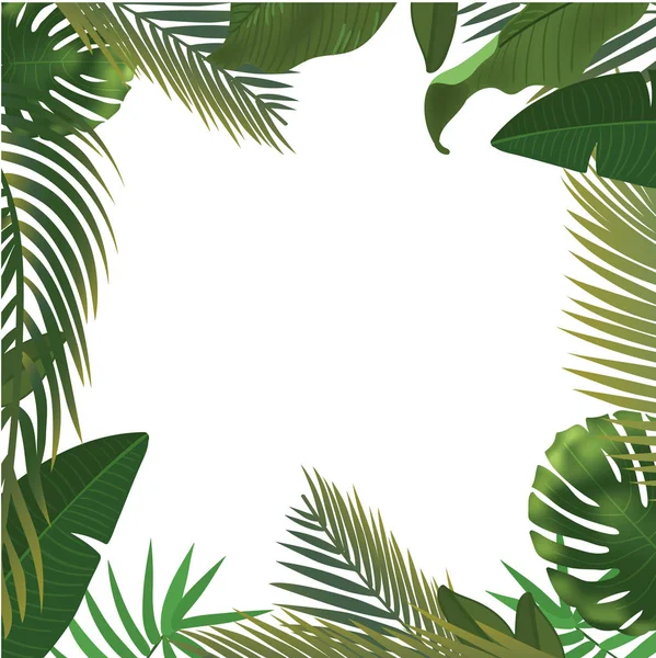 Hintergrund mit realistischen grünen Palmblätterzweigen auf weißem Hintergrund. flache Lage, Draufsicht — Stockvektor