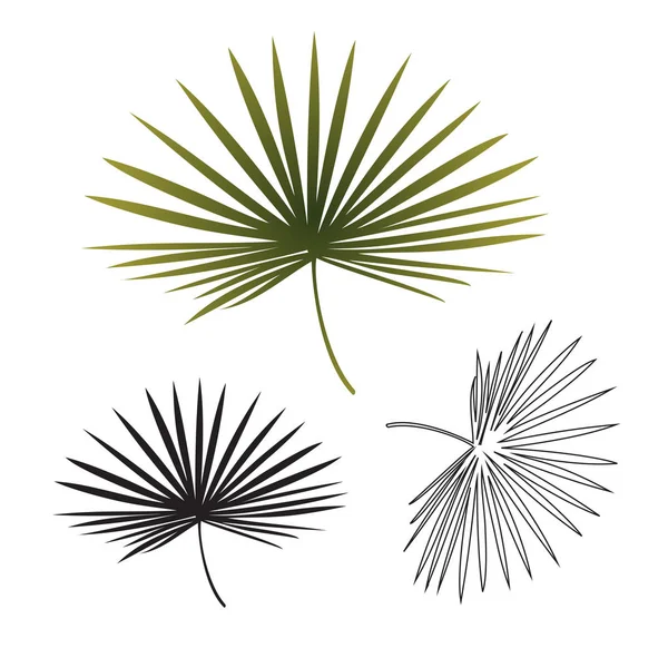 Svart och vitt exotiska tropiska palm leaf isolerade. Handritad skiss illustration. — Stock vektor