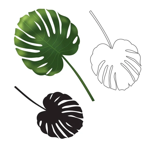Bianco e nero esotico foglia di palma tropicale isolato. Illustrazione schizzo disegnato a mano . — Vettoriale Stock