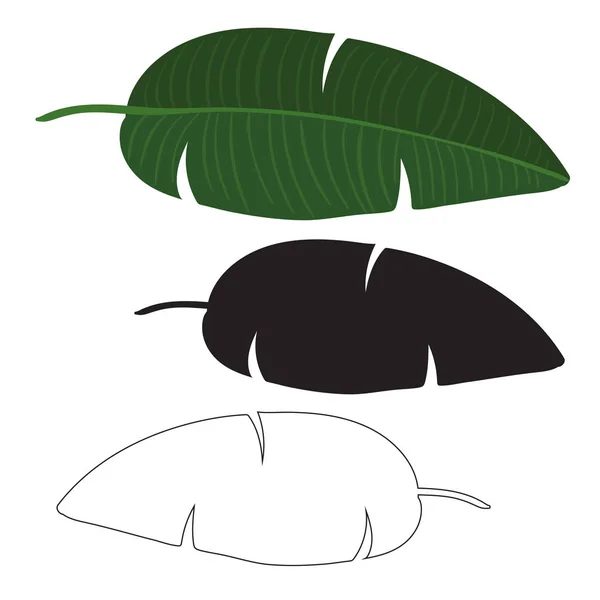 Svart och vitt exotiska tropiska palm leaf isolerade. Handritad skiss illustration. — Stock vektor