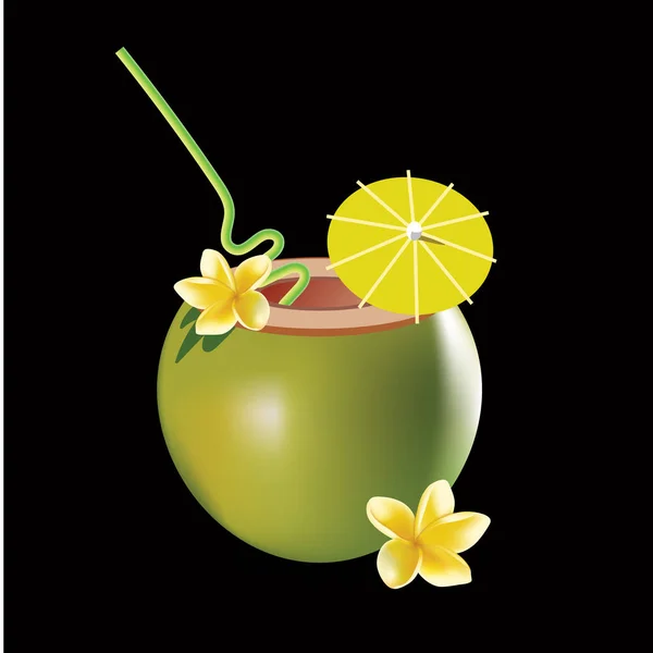 Coco cocktail vector ilustração isolada sobre fundo preto. Flor frangipani realista . — Vetor de Stock