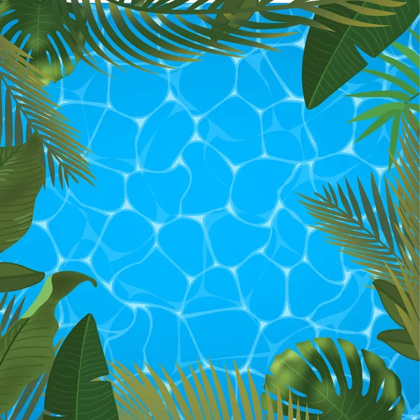 Banner de verão Web. Folhas de palma verde modelo no fundo da superfície da piscina. Verão vetor ilustração abstrata. Imagem realista Paraíso tropical para viagens e venda de ingressos . — Vetor de Stock