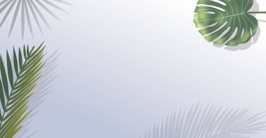 Beyaz arka plan gerçekçi yeşil palmiye yaprağı dallarda.