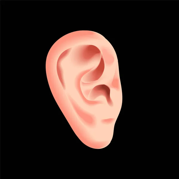 Lidské ucho izolované na černé fotorealistické vektorové ilustrace — Stockový vektor