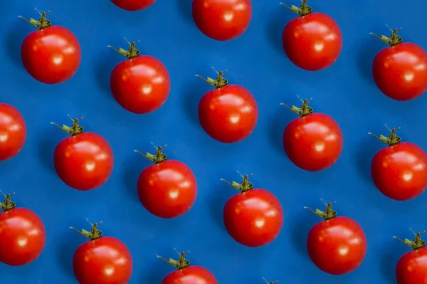 蓝色背景的番茄 樱桃番茄图案 — 图库照片