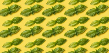 Sarı arka planda fesleğen deseni. Üst Manzara. Duvar kağıdı kapat