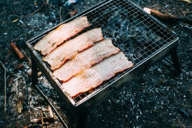 Mantarlı, domatesli ve ızgara dolmalık biberli uzun sosisler. Kömürde sebze pişirmek. Doğada yiyecek. Piknik.