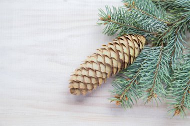 Beyaz ahşap zemin üzerinde bir koni ile Noel ağacı dalı