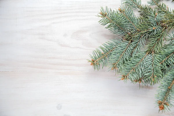 Beyaz ahşap zemin üzerinde Noel ağacı dalı